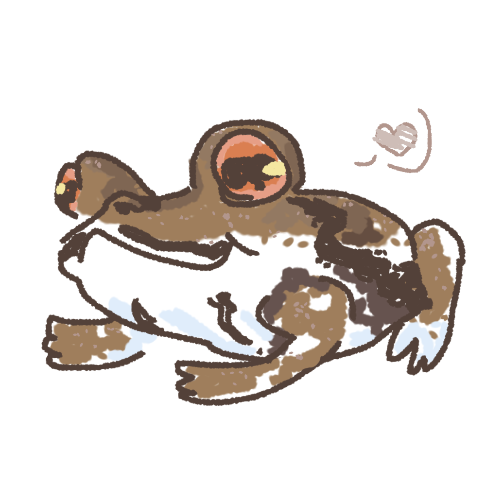 Brown and white toad with a speechbubble of a heart